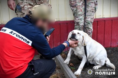 На Одещині кінологи з собаками допомагатимуть військовим відновитись після фронту На Одещині кінологи з собаками допомагатимуть військовим відновитись після фронту