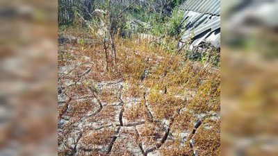 Тетяна Матвійчук, Каховська ГЕС, Херсон Тетяна Матвійчук, Каховська ГЕС, Херсон