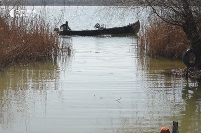 Одещина без дунайки: чому зменшується кількість виловленої риби Одещина без дунайки: чому зменшується кількість виловленої риби