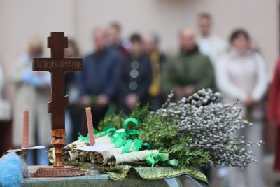Вербові гілки, Вербна неділя, Франківськ, освячення