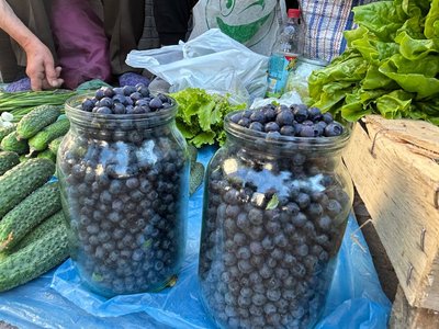 Скільки коштує чорниця на Житомирщині та чи чекати зниження цін Скільки коштує чорниця на Житомирщині та чи чекати зниження цін