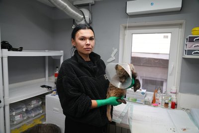"Знесилене прийшло по допомогу до людей". Шестимісячне дитинча єнотоподібного собаки врятували на Дніпропетровщині "Знесилене прийшло по допомогу до людей". Шестимісячне дитинча єнотоподібного собаки врятували на Дніпропетровщині