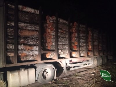 На Житомирщині рейдова група виявила незаконну рубку лісу На Житомирщині рейдова група виявила незаконну рубку лісу
