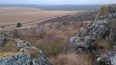 музикова скала, товтри, скелі, гори, тернопільщина