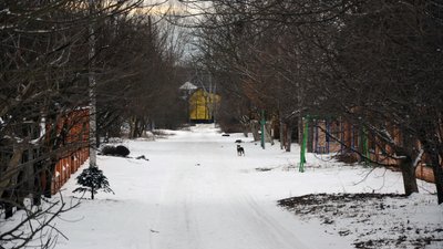 Розділені "бетонкою" й об’єднані обстрілами: як живуть жителі мікрорайонів Півці та Олександрівка у Чернігові Розділені "бетонкою" й об’єднані обстрілами: як живуть жителі мікрорайонів Півці та Олександрівка у Чернігові