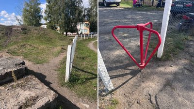 безпритульні собаки біля школи безпритульні собаки біля школи