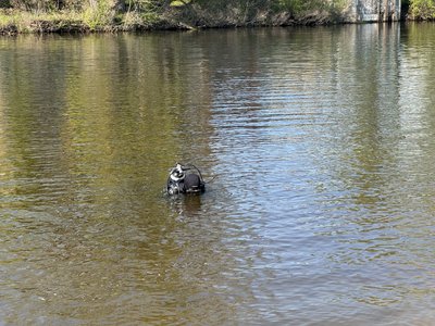 "Дерева, автомобільні шини та побутове сміття": водолази у Полтаві очищають дно Ворскли "Дерева, автомобільні шини та побутове сміття": водолази у Полтаві очищають дно Ворскли