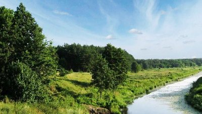 Села Чернігівщини: історії назв сіл Пилятин, Сираї та Берлози