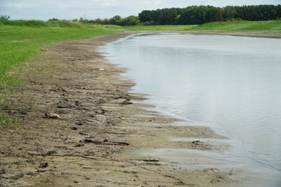 "Води у колодязі майже немає": на Дніпропетровщині обміліла річка Саксагань: яка причина зменшення рівня води "Води у колодязі майже немає": на Дніпропетровщині обміліла річка Саксагань: яка причина зменшення рівня води