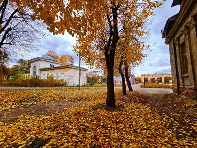 Осінь у відремонтованому сквері “Мистецькі ворота” Житомира: фоторепортаж Осінь у відремонтованому сквері “Мистецькі ворота” Житомира: фоторепортаж
