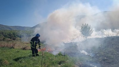 11 пожеж в екосистемах сталося на Закарпатті за добу 11 пожеж в екосистемах сталося на Закарпатті за добу