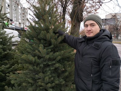 У Луцьку запрацювали ялинкові ярмарки. Скільки коштують хвойні дерева до свят