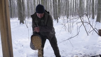 Підгодівля диких тварин Підгодівля диких тварин