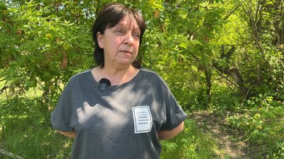 “Все літає, все гудить”. Як за 25 кілометрів від фронту жителі Микільського тримають господарство “Все літає, все гудить”. Як за 25 кілометрів від фронту жителі Микільського тримають господарство
