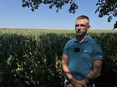 "Це коники, не сарана": на Полтавщині немає нашестя сарани "Це коники, не сарана": на Полтавщині немає нашестя сарани