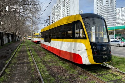 В Одесі дерево впало на жінку В Одесі дерево впало на жінку