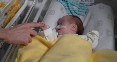 Віра, Надія та Любов. У пари з Нікопольщини народилася трійня дівчат Віра, Надія та Любов. У пари з Нікопольщини народилася трійня дівчат