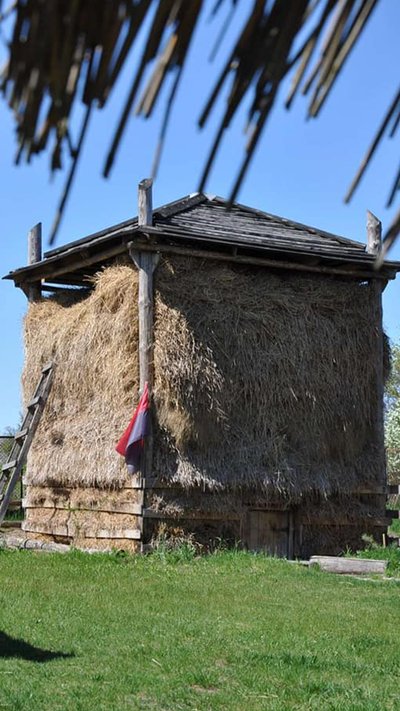 Двійко баранців: перше поповнення в музейній овечій сім'ї на Рівненщині Двійко баранців: перше поповнення в музейній овечій сім'ї на Рівненщині