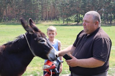 Сільський атракціон: фермер на Рівненщині придбав для дітей ослицю Ноомі