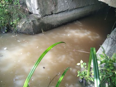 Вода після скиду невідомої речовини Вода після скиду невідомої речовини