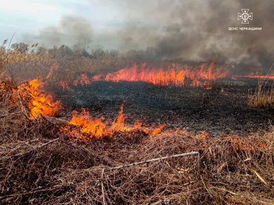 Горіли будівлі, сухостій та сміття: на Черкащині за добу виникло 52 пожежі Горіли будівлі, сухостій та сміття: на Черкащині за добу виникло 52 пожежі