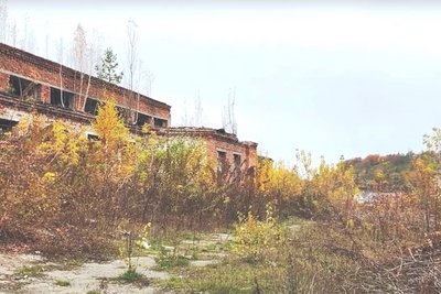 Зірвався з 10-метрової висоти: в Звягелі підліток потрапив до реанімації Зірвався з 10-метрової висоти: в Звягелі підліток потрапив до реанімації