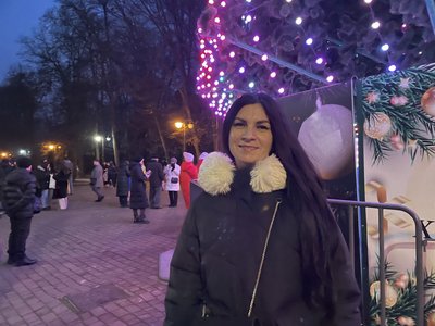 Франківка Юлія Грицеляк, ялинка, парк Франківка Юлія Грицеляк, ялинка, парк