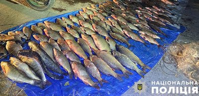 На Полтавщині затримали бракон'єра, який виловив рибу на понад мільйон гривень На Полтавщині затримали бракон'єра, який виловив рибу на понад мільйон гривень
