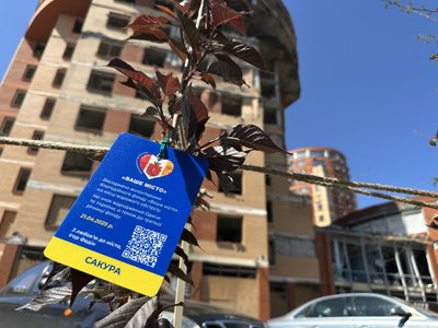 В Одесі волонтери висадили сакури на місці російського обстрілу В Одесі волонтери висадили сакури на місці російського обстрілу