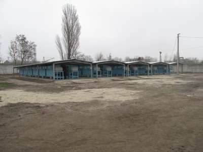 кооперативи кооперативи