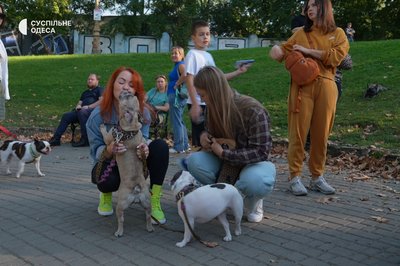 В Одесі пройшла благодійна “Бульдог-паті”: допомога тваринам і військовим В Одесі пройшла благодійна “Бульдог-паті”: допомога тваринам і військовим