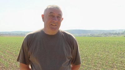 "Дуже різні ґрунти тут. Все це має свої перспективи": народний селекціонер Іван Захаренко вирощує часник на Хмельниччині "Дуже різні ґрунти тут. Все це має свої перспективи": народний селекціонер Іван Захаренко вирощує часник на Хмельниччині