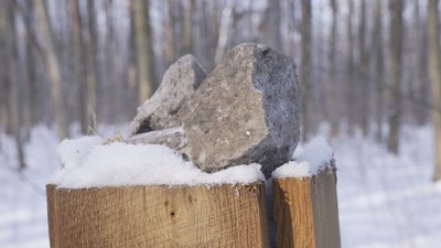 Підгодівля диких тварин Підгодівля диких тварин