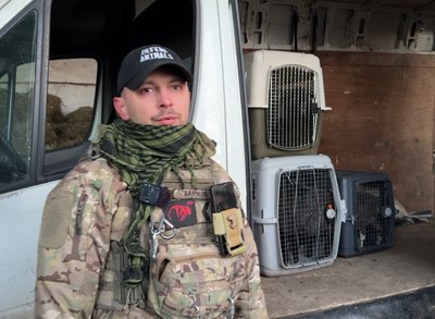 "Мотивація – врятувати життя". Харківські волонтери евакуювали з Миропілля на Сумщині ферму "Мотивація – врятувати життя". Харківські волонтери евакуювали з Миропілля на Сумщині ферму