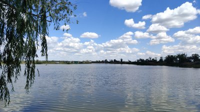 Місцеві жителі власними силами облаштовують ставок на Миколаївщині Місцеві жителі власними силами облаштовують ставок на Миколаївщині