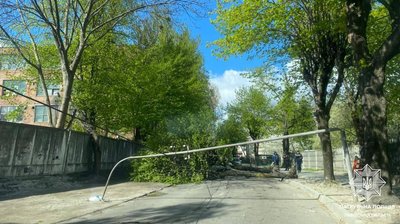 Вулиця Дашкевича