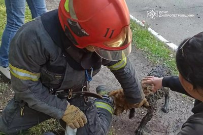 Атака на Нікопольщину, погода. Головні новини Дніпра та області 10 травня Атака на Нікопольщину, погода. Головні новини Дніпра та області 10 травня