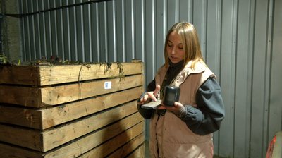 Яблука були збиткові: у селі на Черкащині сад викорчували під овочі Яблука були збиткові: у селі на Черкащині сад викорчували під овочі