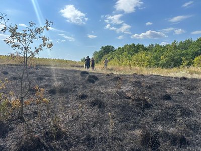 Російський дрон з картону і пінопласту спричинив пожежу в екосистемі на Харківщині Російський дрон з картону і пінопласту спричинив пожежу в екосистемі на Харківщині