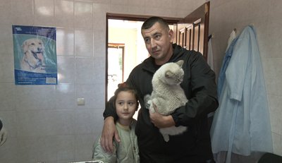 Віктор Баковський, вакцинація тварин, кішка, Тернопіль Віктор Баковський, вакцинація тварин, кішка, Тернопіль