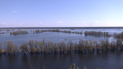 "Пішла вода – і риба з'явилась": як повінь-2026 у Мезинському парку вплинула на інші природні процеси і чому "Пішла вода – і риба з'явилась": як повінь-2026 у Мезинському парку вплинула на інші природні процеси і чому