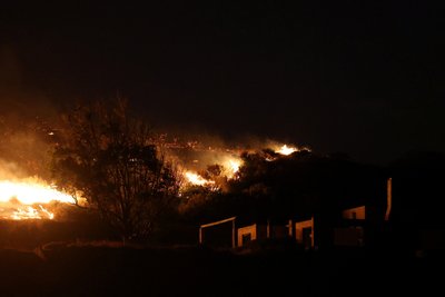 У Південній Європі спалахують лісові пожежі через спеку У Південній Європі спалахують лісові пожежі через спеку