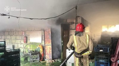 Пожежа на Житомирщині: загорілася сушарка з декоративними рослинами Пожежа на Житомирщині: загорілася сушарка з декоративними рослинами