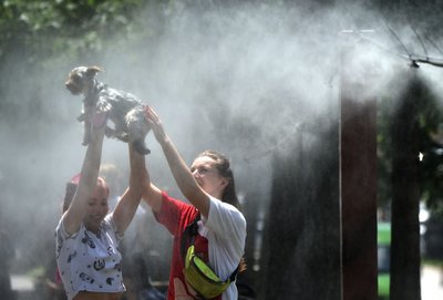 Спека і тварини: неочевидні помилки, які можуть зашкодити улюбленцям Спека і тварини: неочевидні помилки, які можуть зашкодити улюбленцям
