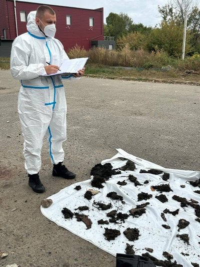 Гроза Гроза