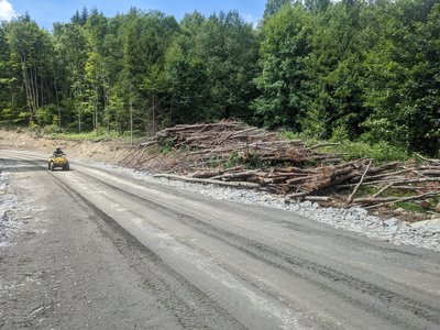 Будівництво дороги на полонині Руній: на ділянках, що підпали під рубку, виявили локалітети рідкісних видів флори Будівництво дороги на полонині Руній: на ділянках, що підпали під рубку, виявили локалітети рідкісних видів флори