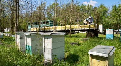 700 вуликів і служба в ЗСУ: ветеран з Кіровоградщини оновлює пасіку завдяки гранту 700 вуликів і служба в ЗСУ: ветеран з Кіровоградщини оновлює пасіку завдяки гранту
