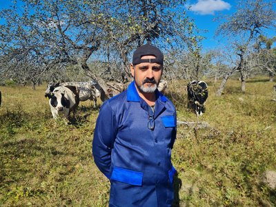 Державна дотація на корів, кіз і овець: умови виплат за тварин на Житомирщині Державна дотація на корів, кіз і овець: умови виплат за тварин на Житомирщині
