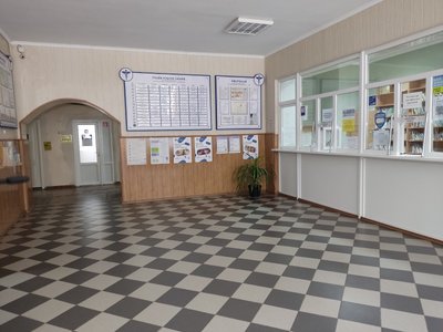 "Ми діагностуємо COVID-19, діагностуємо грип": на Полтавщині сезонний підйом захворюваності на ГРВІ