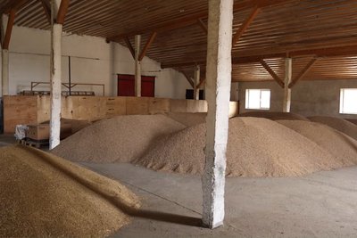 Запаси зерна, з якого виготовляють комбікорм для кіз, які живуть на екофермі в селі Стрілецький Кут Запаси зерна, з якого виготовляють комбікорм для кіз, які живуть на екофермі в селі Стрілецький Кут